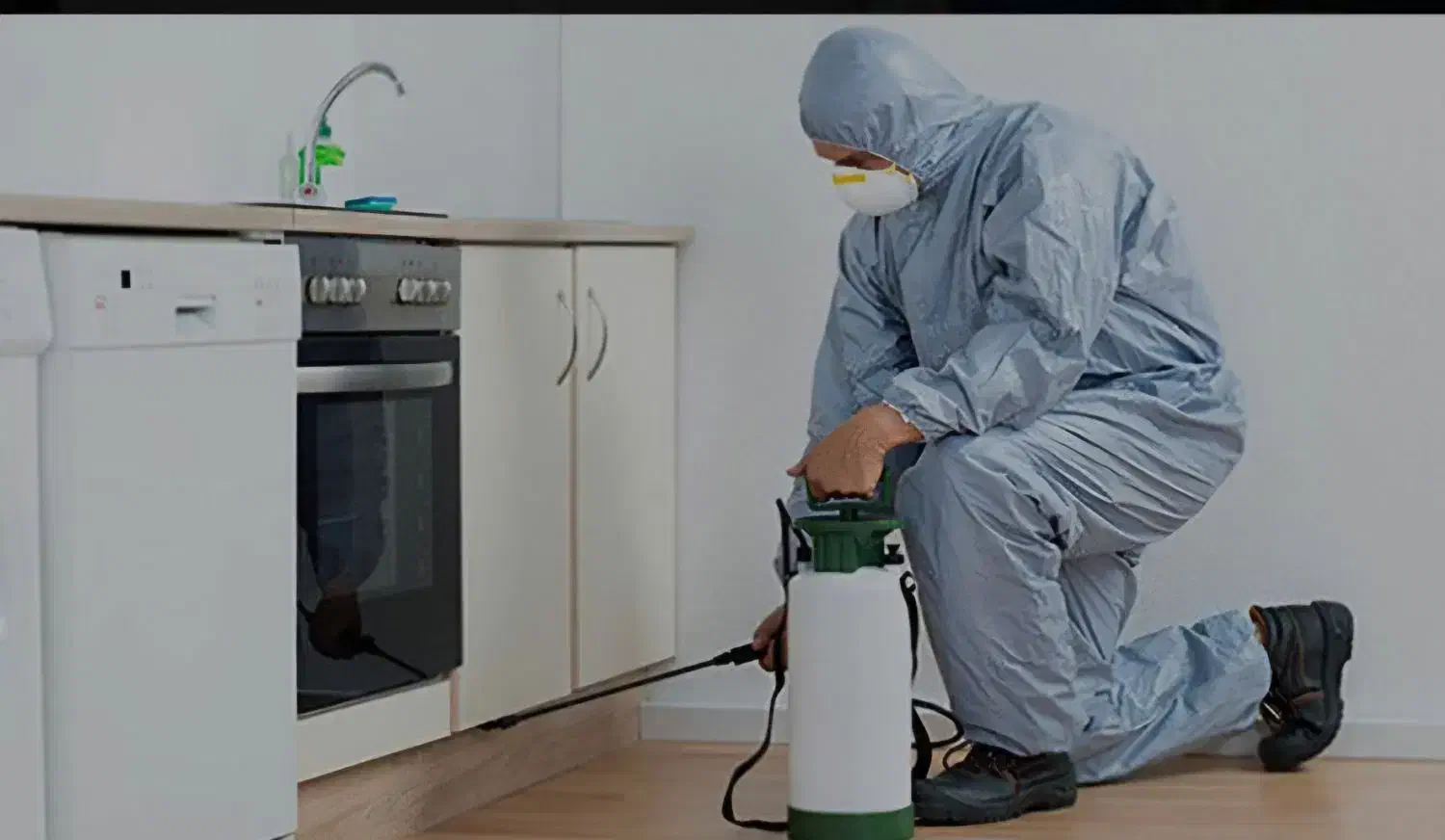 سم پاشی به صورت حرفه ای با تضمین  با تخفیف ویژه|خدمات نظافت|یزد, |دیوار