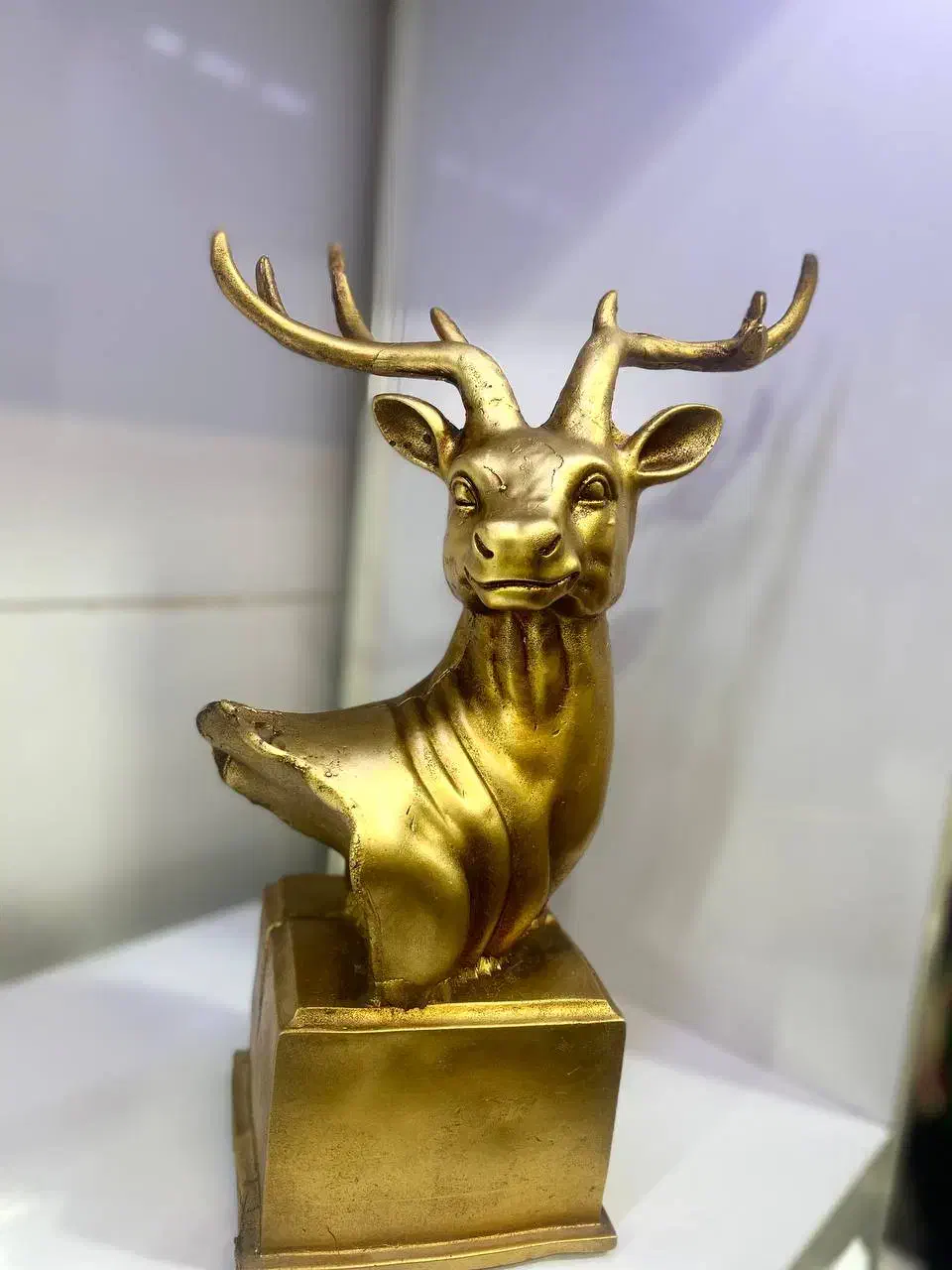 مجسمه پلی استرباکیفیت|مجسمه، تندیس، ماکت|بیرجند, |دیوار