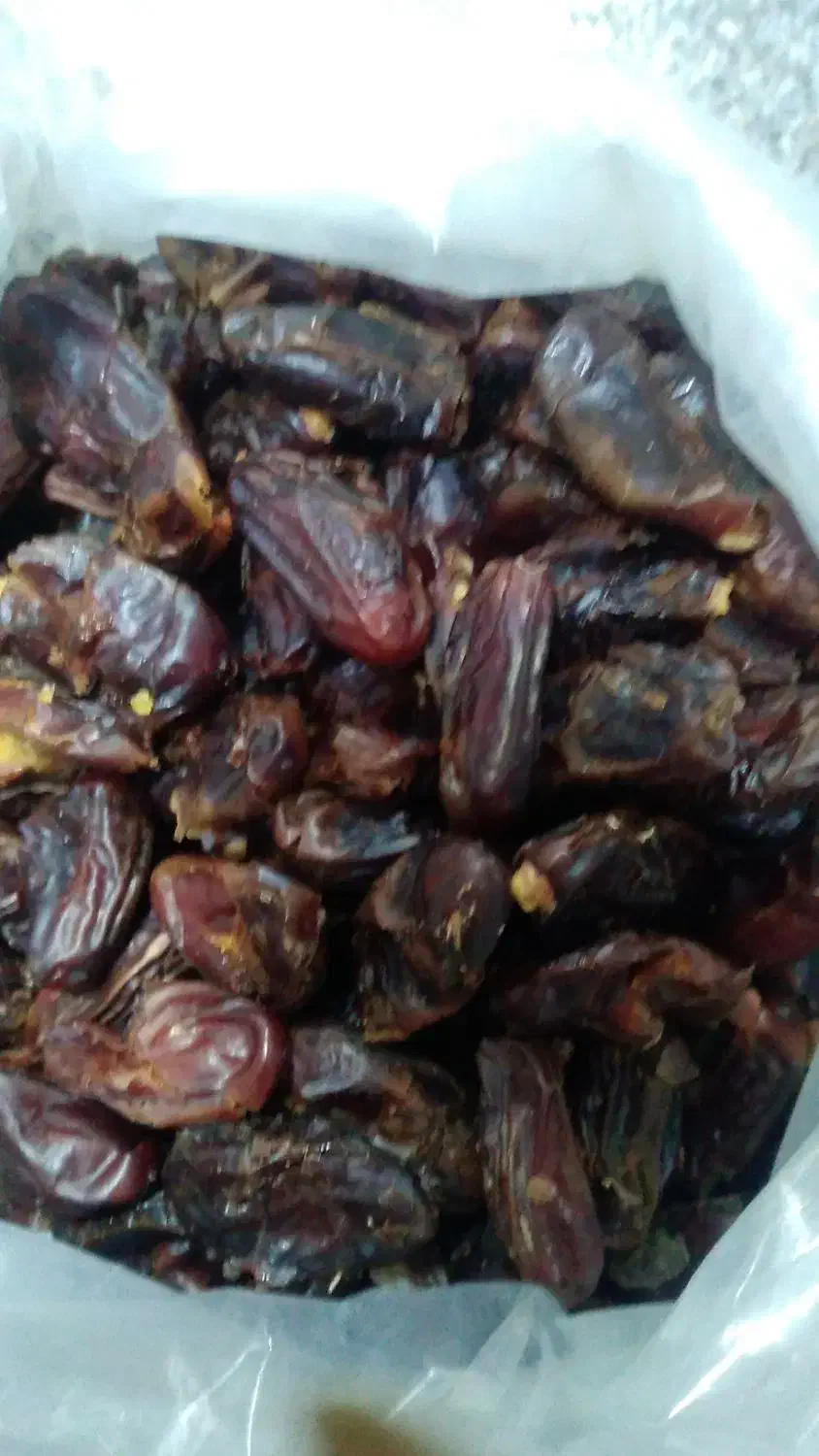 خرما ربی و مضافتی برای شیر گیری|خوردنی و آشامیدنی|رشت, فلسطین|دیوار