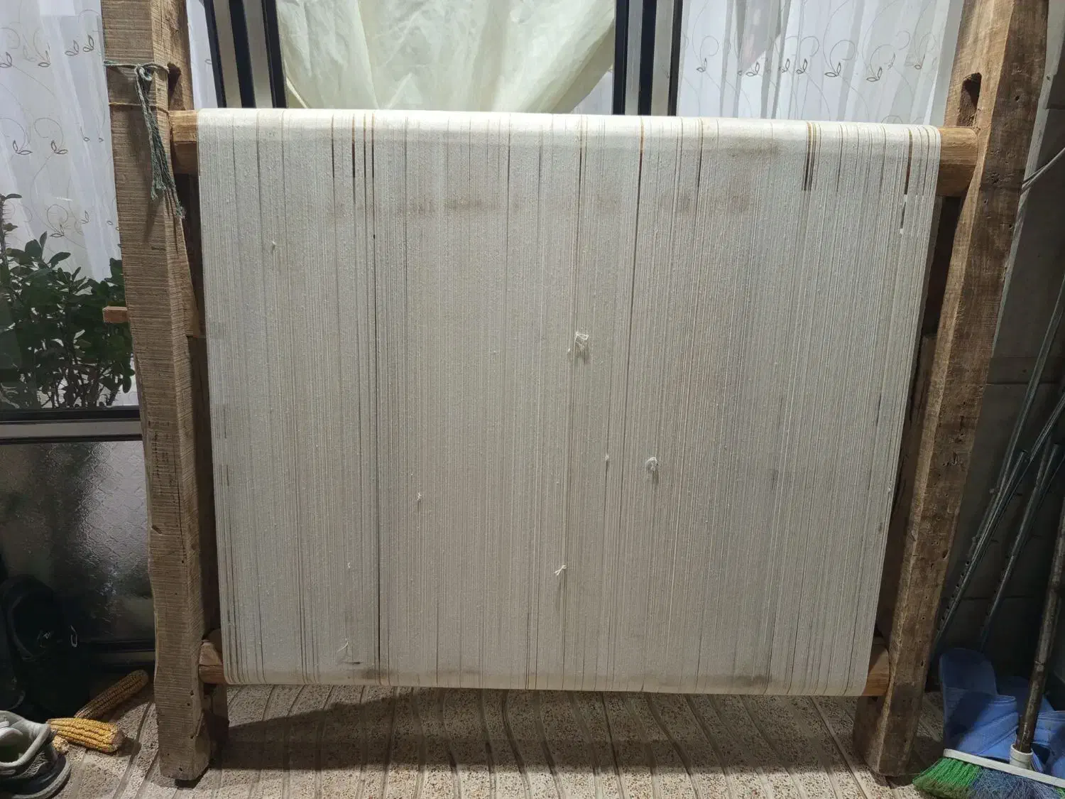 فرش زرنیم 50رج|فرش|خوی, |دیوار