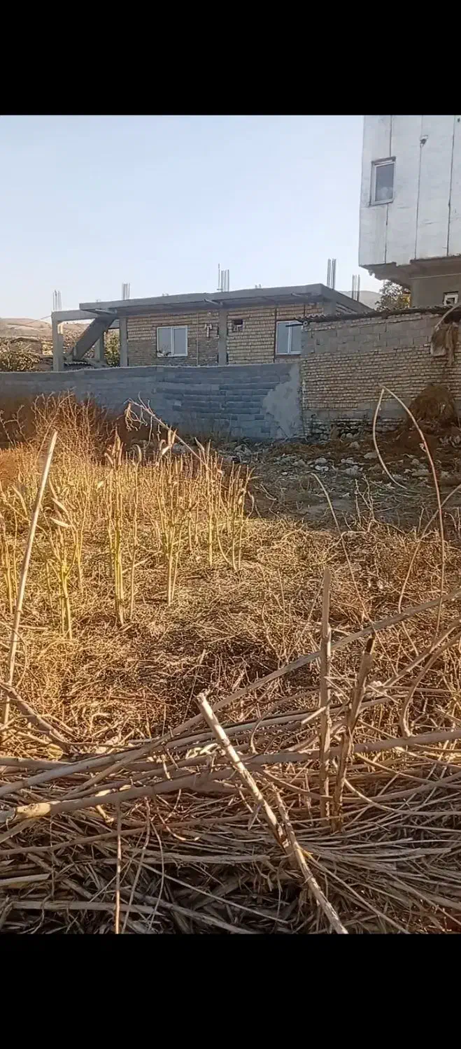 زمین مسکونی|فروش زمین و ملک کلنگی|القجر, |دیوار