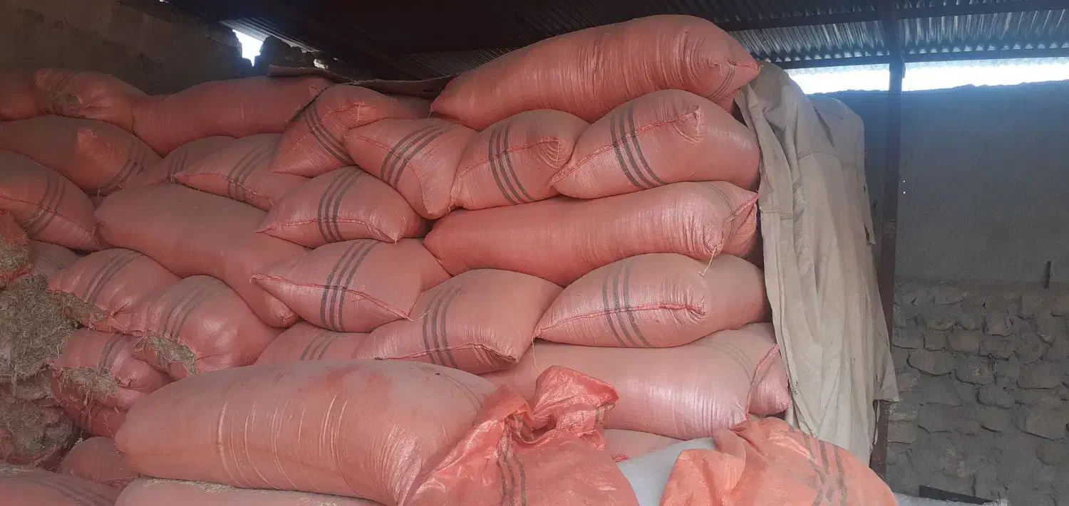 فروش کاه دیم درجه یک|لوازم جانبی حیوانات|دهلران, |دیوار