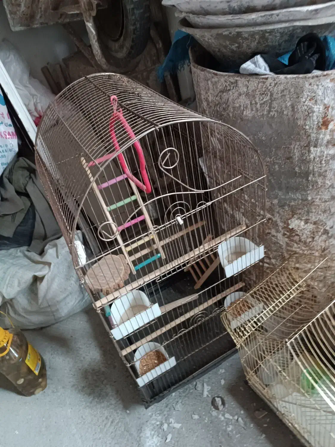 قفس عروس هلندی تکمیل وقفس قناری|لوازم جانبی حیوانات|اشتهارد, |دیوار