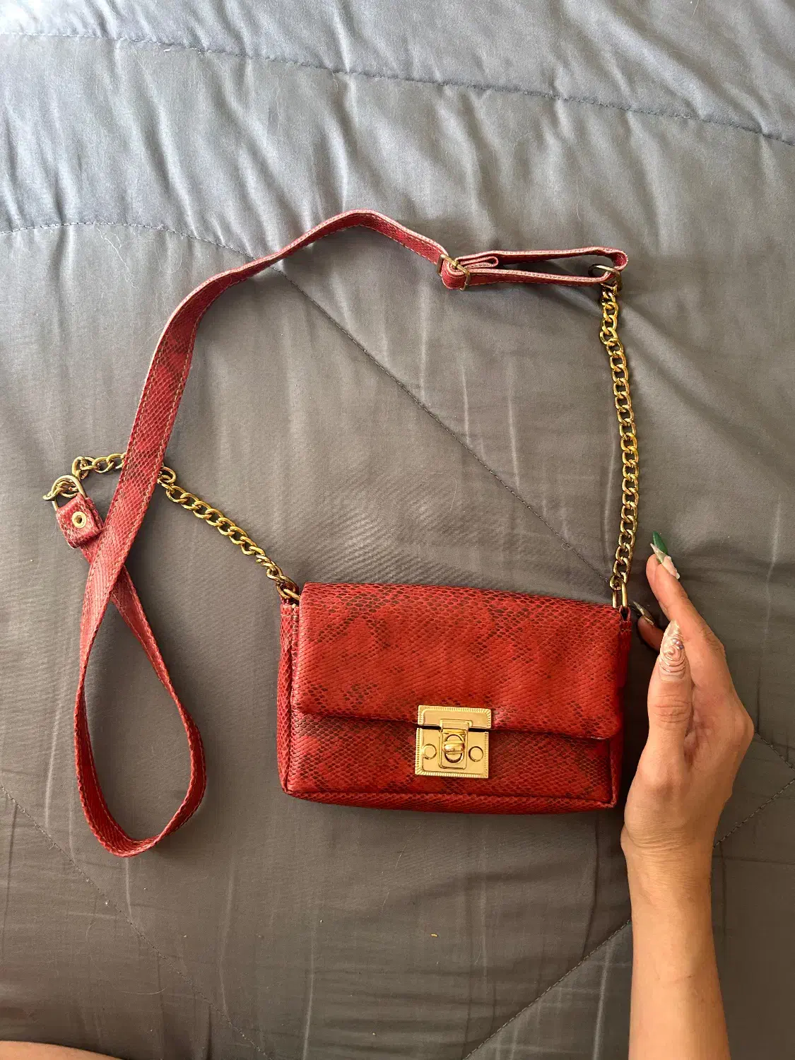 چند عدد کیف نو|کیف، کفش، کمربند|مشهد, تربیت (صدف)|دیوار