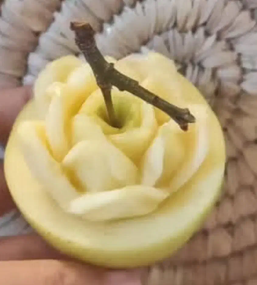 حکاکی و میوه آرایی برای یلدا و مجالس عروسی .|خدمات پذیرایی، مراسم|بندرعباس, |دیوار