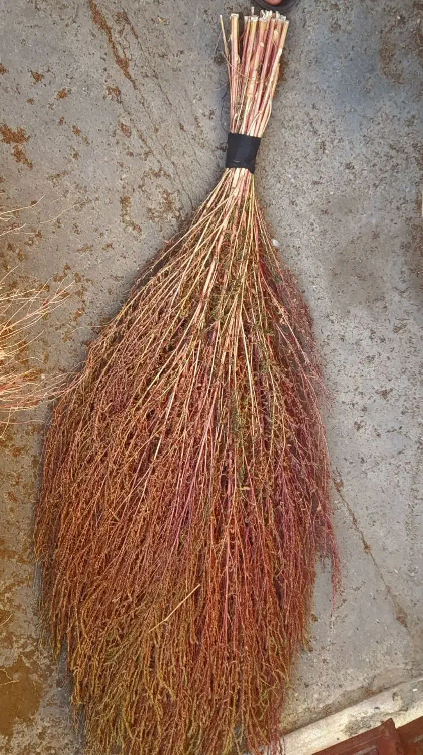 جارو|لوازم نظافت|ملایر, |دیوار