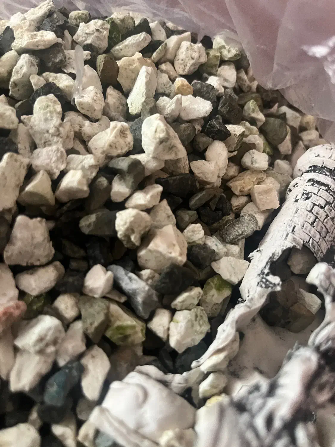 لوازم اکواریوم|ماهی|کاشمر, |دیوار