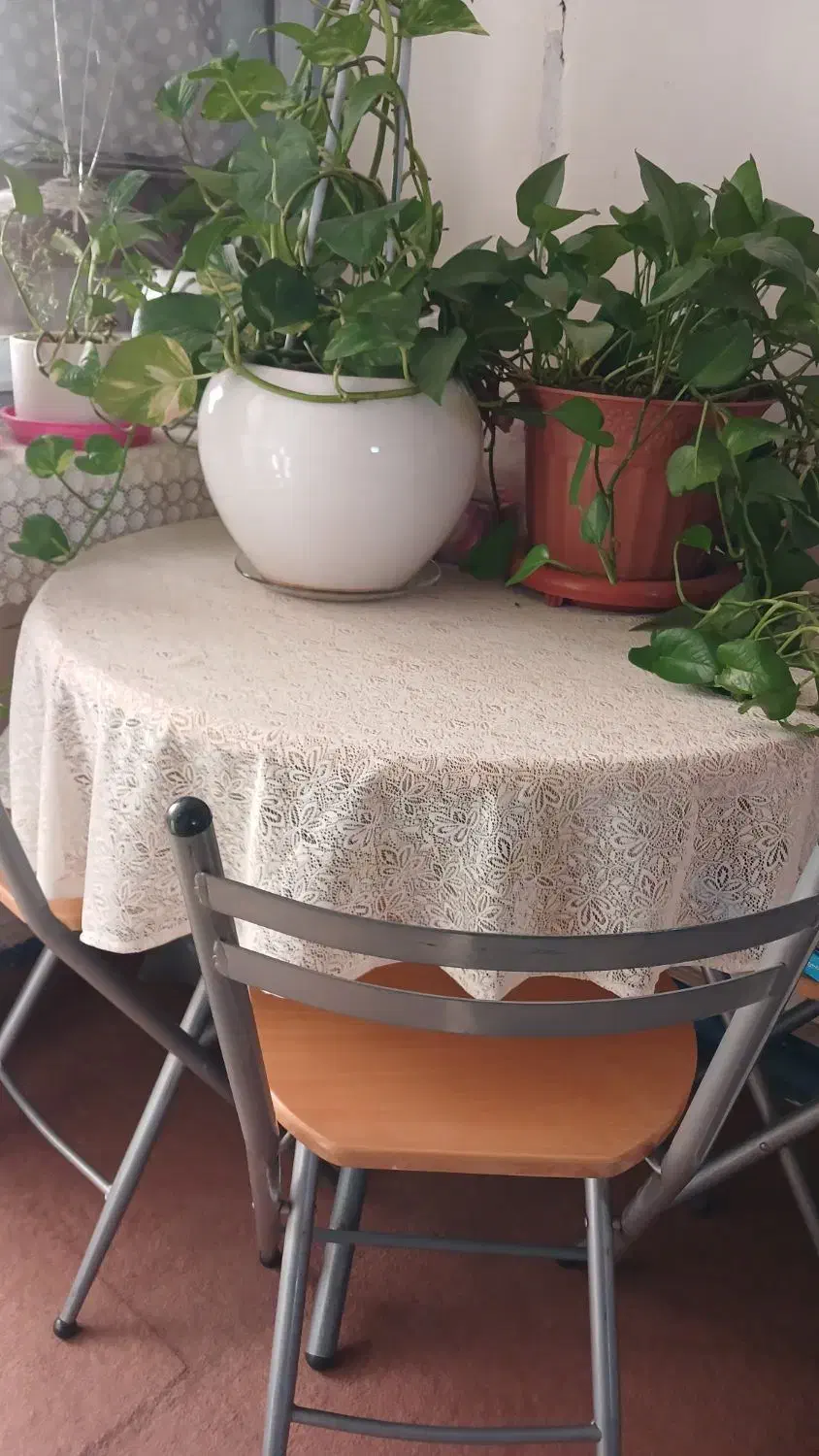 فرش مبل|فرش|فولادشهر, B1|دیوار