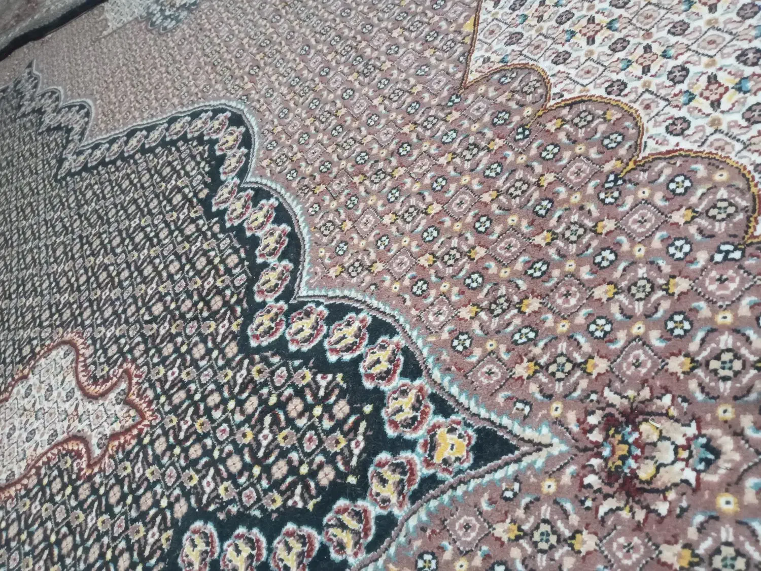 یک جفت فرش ۱۲ متری فروشی درخان ببین|فرش|خان ببین, |دیوار