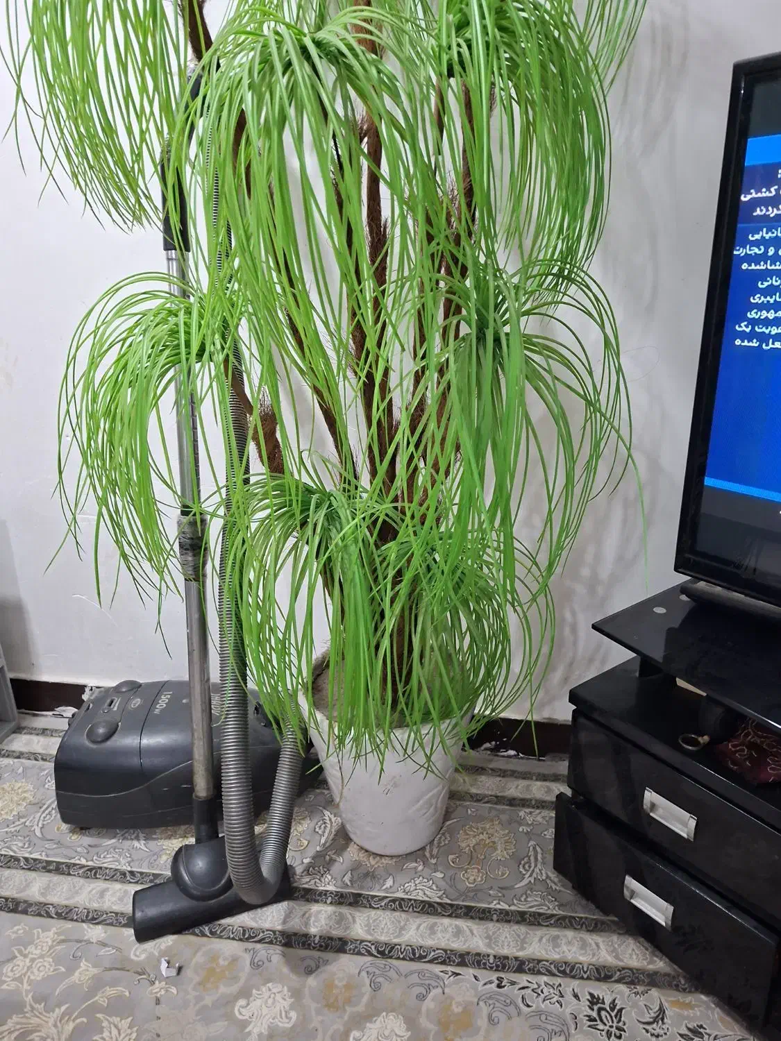 درخچه مصنویی|گل مصنوعی|امیدیه, |دیوار