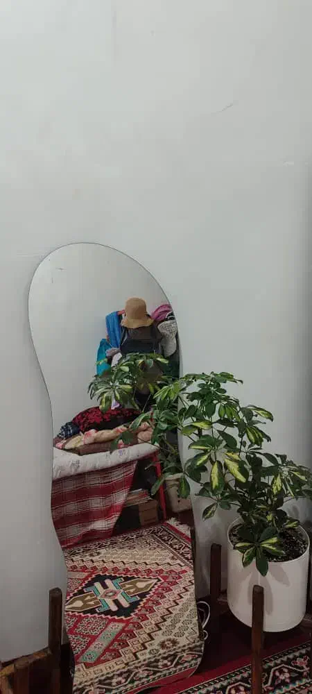 اجاره خوابگاه دخترانه در مرکز شهر|اجارهٔ کوتاه‌مدت آپارتمان و سوئیت|شیراز, ملاصدرا|دیوار