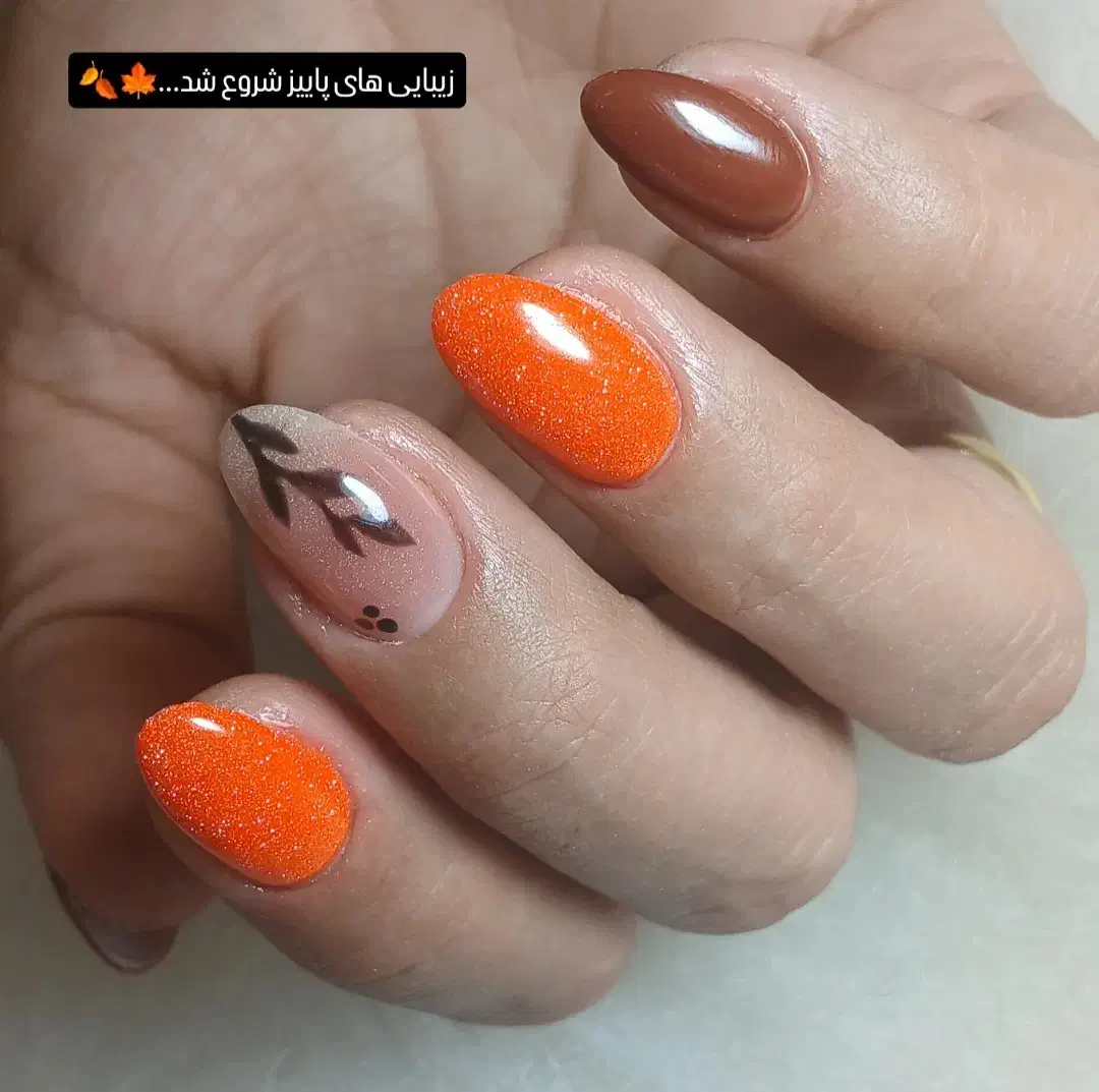 کاشت ناخن|خدمات آرایشگری و زیبایی|شیراز, سهل‌آباد|دیوار
