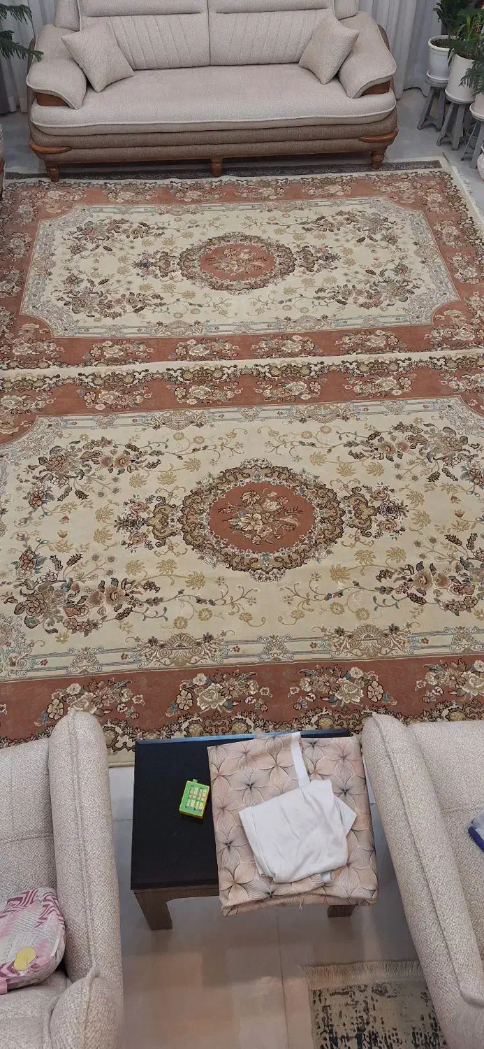 فرش شیش متری|فرش|بیرجند, |دیوار