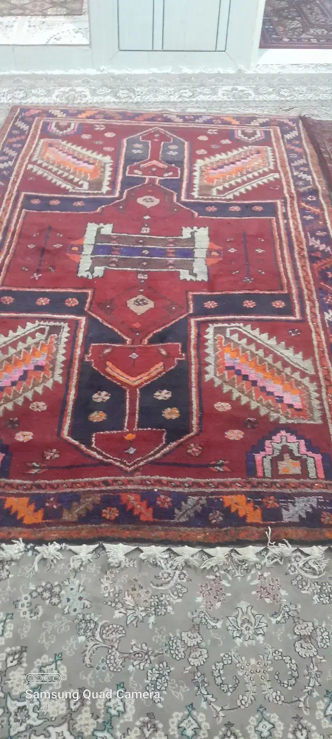 قالی محلی|فرش|پلدختر, |دیوار