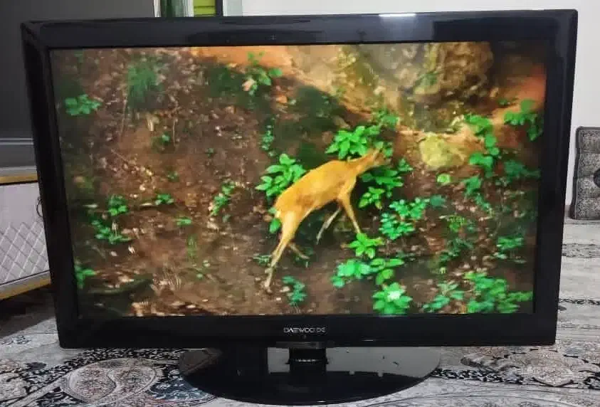 تلویزیون 39 اینچ سالم|تلویزیون و پروژکتور|رباط‌کریم, رباط‌کریم|دیوار