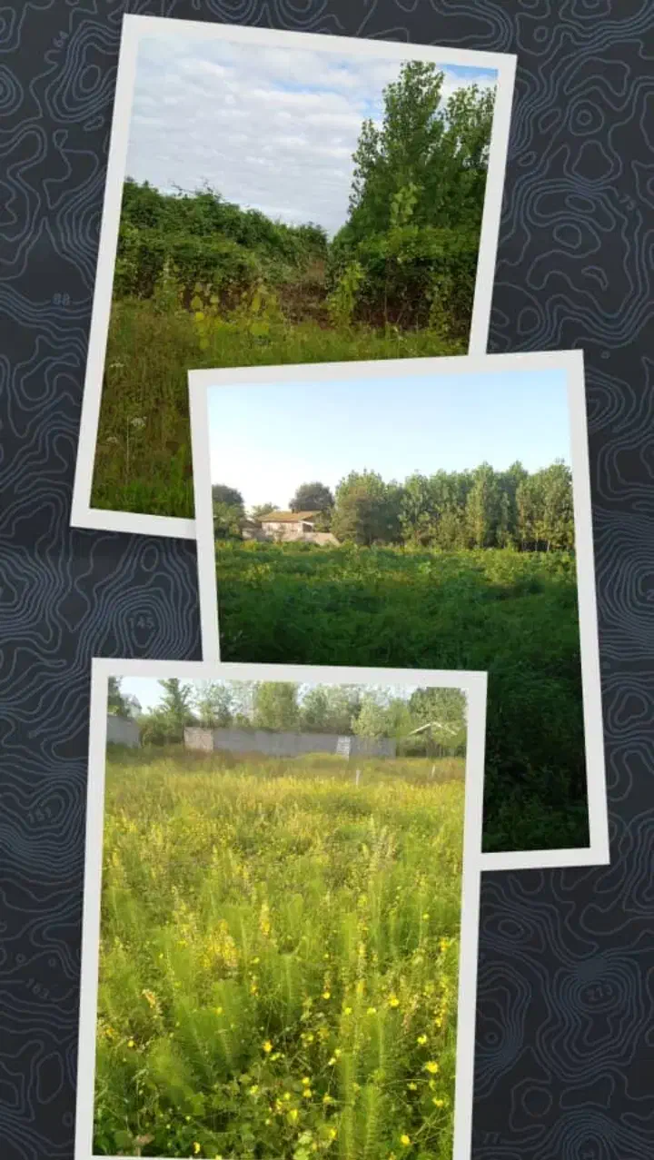 زمین مسکونی و باغی با شرایط فوق العاده|فروش زمین و ملک کلنگی|صومعه‌سرا, |دیوار