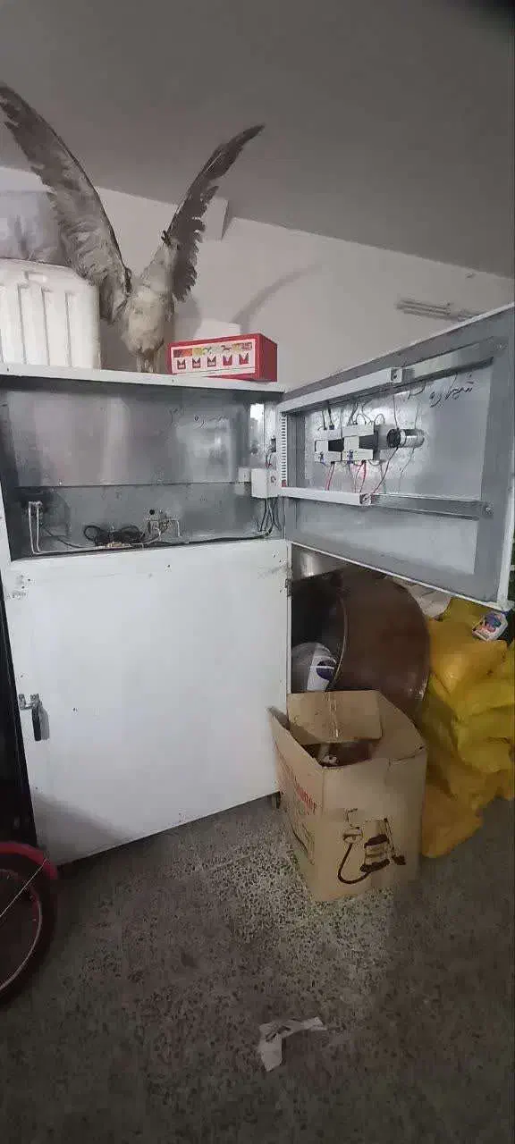 دستگاه میوه خشک کن|ماشینآلات صنعتی|بروجرد, |دیوار