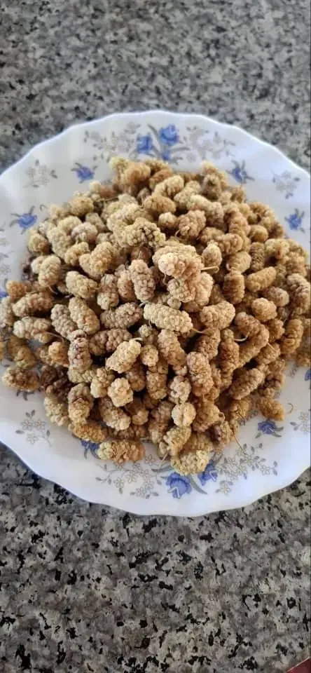 توت خشک و سماق تازه|خوردنی و آشامیدنی|فردیس, سرحدی|دیوار