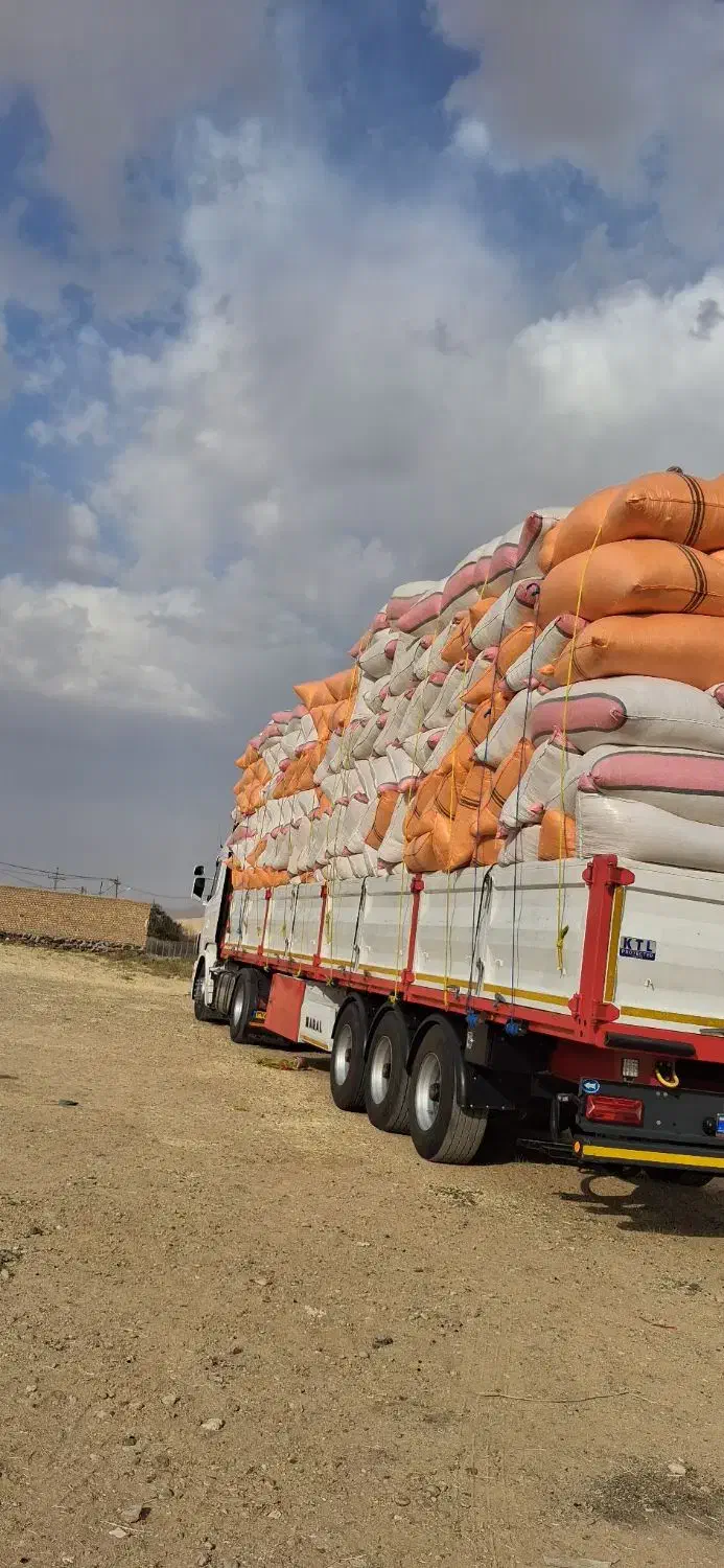 کاه گندم همدان به تمام نقاط|لوازم جانبی حیوانات|چنگ الماسی, |دیوار