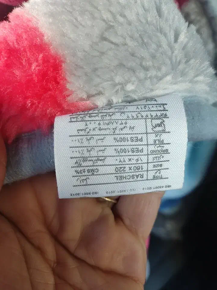 رخت خواب پنبه|رختخواب، بالش، پتو|بجنورد, |دیوار