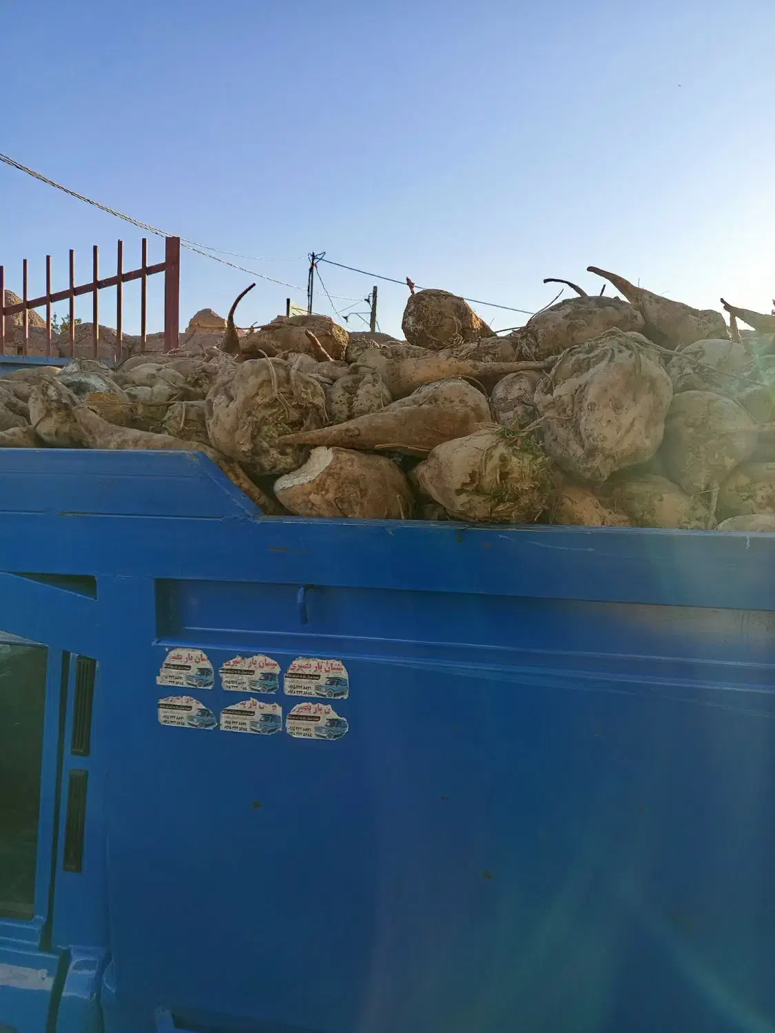 چغندر|خدمات باغبانی و درختکاری|نیشابور, شریعتی|دیوار