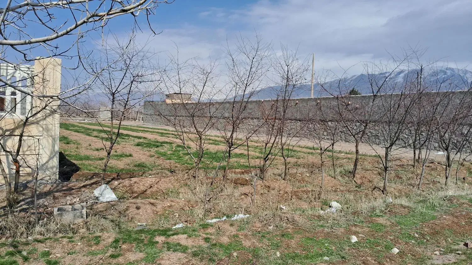 زمین ۶۶۰ متر در فوشنجان|فروش زمین و ملک کلنگی|نیشابور, فضل|دیوار