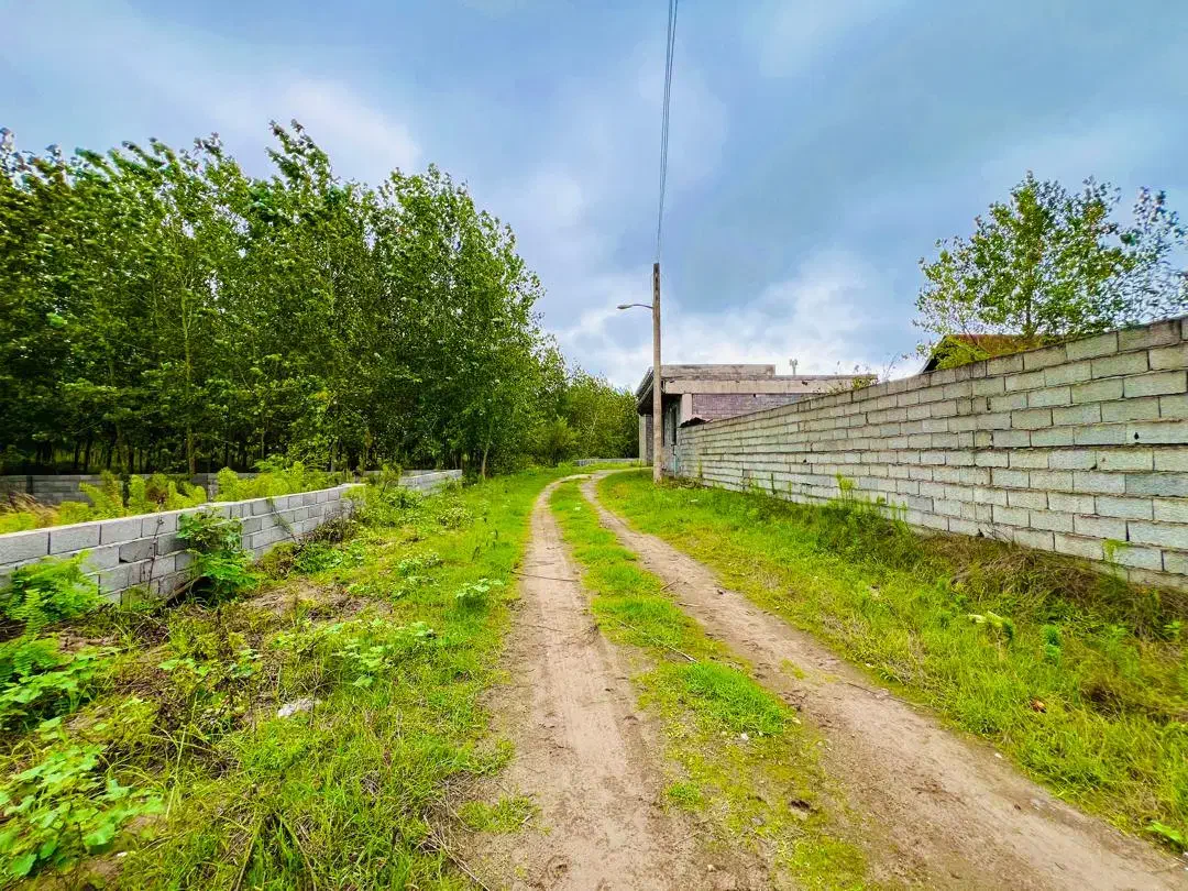 زمین 350متری در فاصله 500 متری ساحل/ به شرط ساخت|فروش زمین و ملک کلنگی|چاف و چمخاله, |دیوار