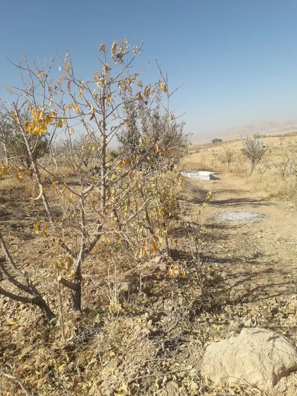 کل زمین ۱۵۰۰متر۱۰دقیقه اب|فروش دفتر صنعتی، کشاورزی، تجاری|خرم بید, |دیوار