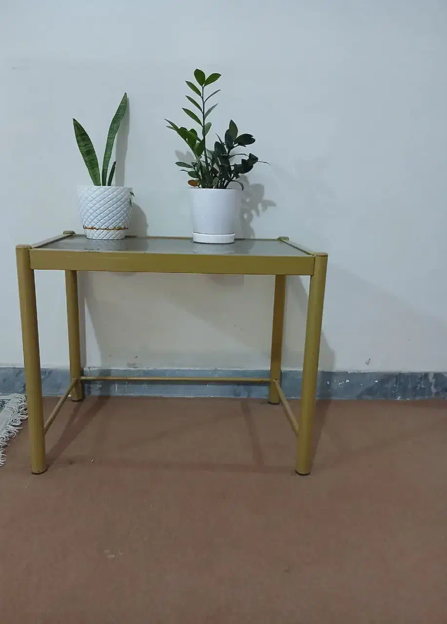 یک گل میز کاملا سالم|مبلمان خانگی و میز عسلی|ایذه, |دیوار