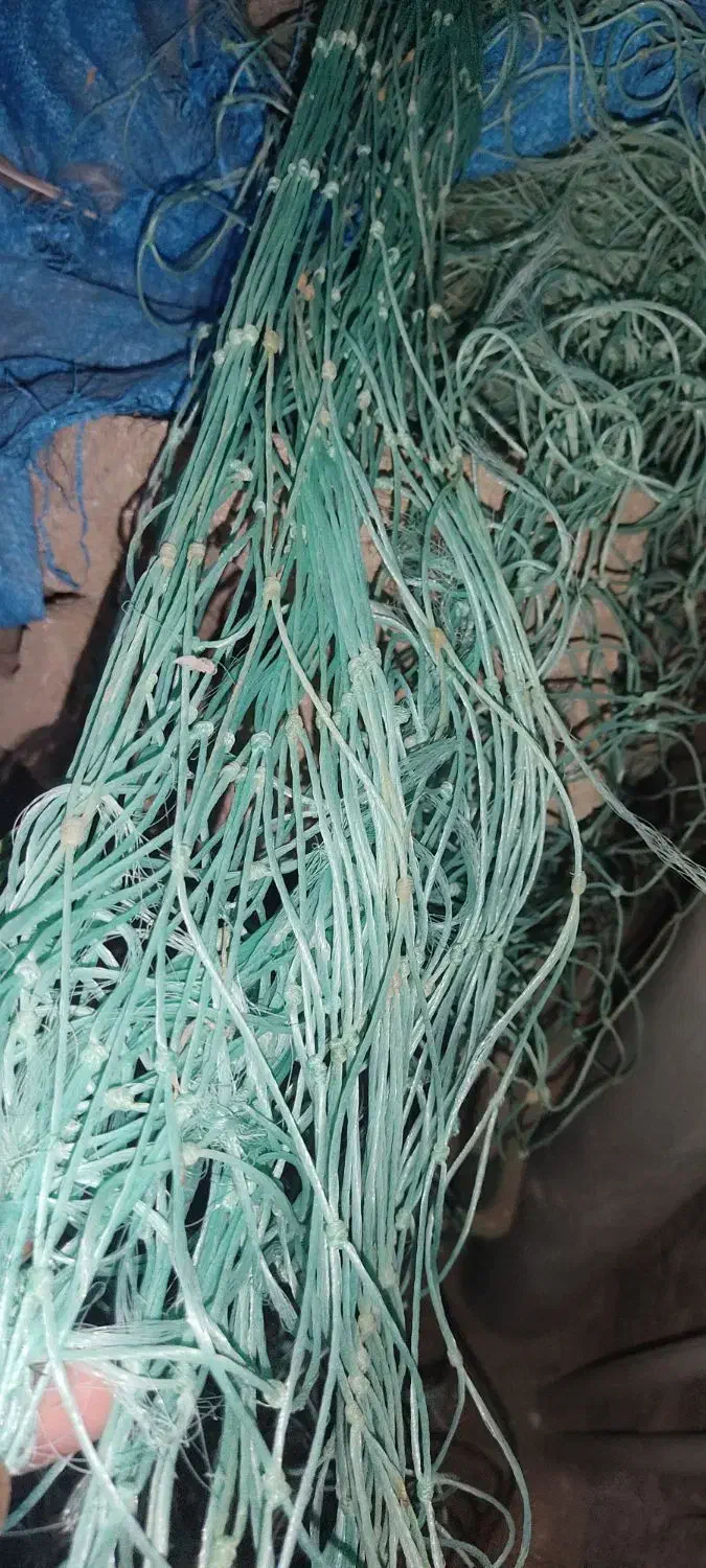 طور پانی و تشت ۲۹ فوت|ماهیگیری|بردخون, |دیوار