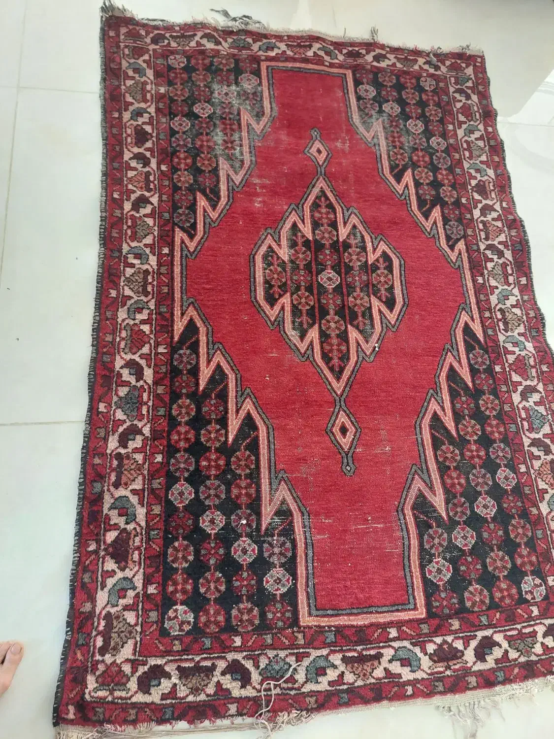 فرش دستباف قدیمی|فرش|کومله, |دیوار