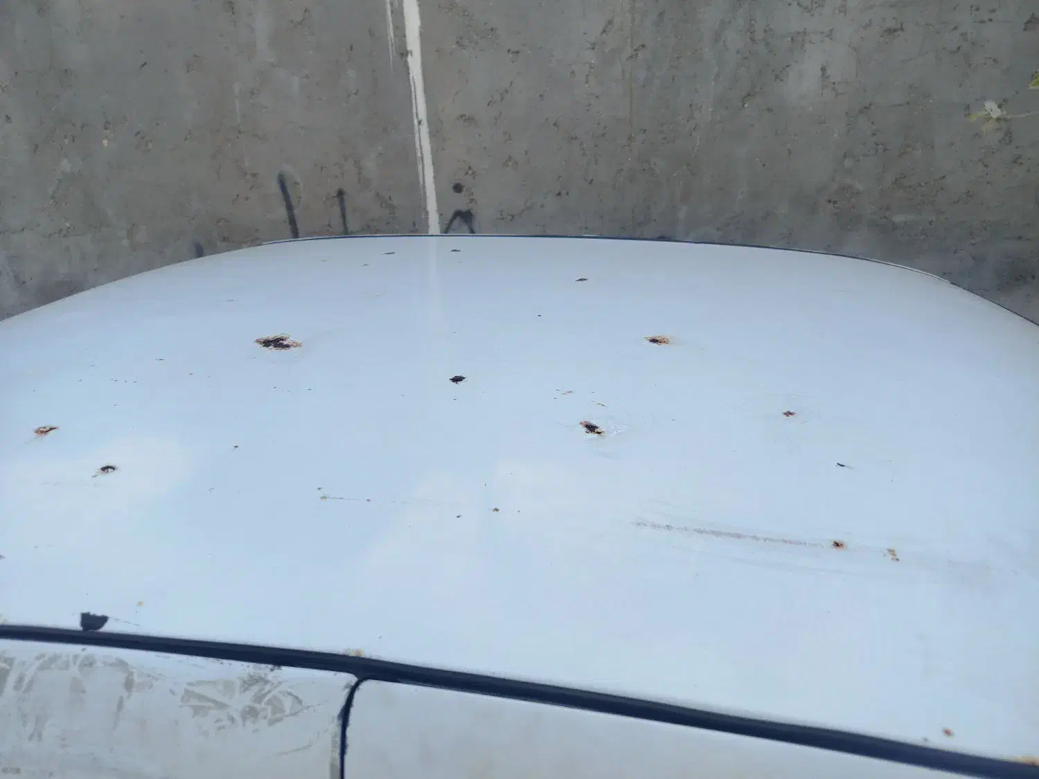 سمند91|خودرو سواری و وانت|بندرعباس, |دیوار