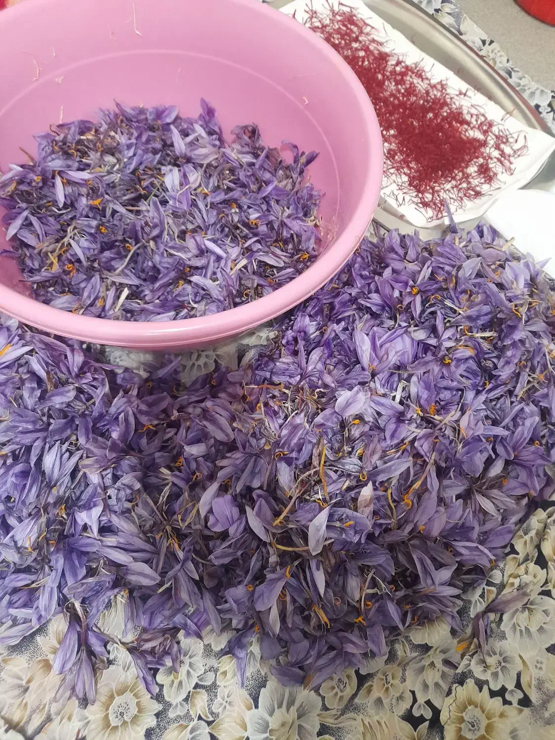 زعفران تازه|خوردنی و آشامیدنی|اهر, |دیوار