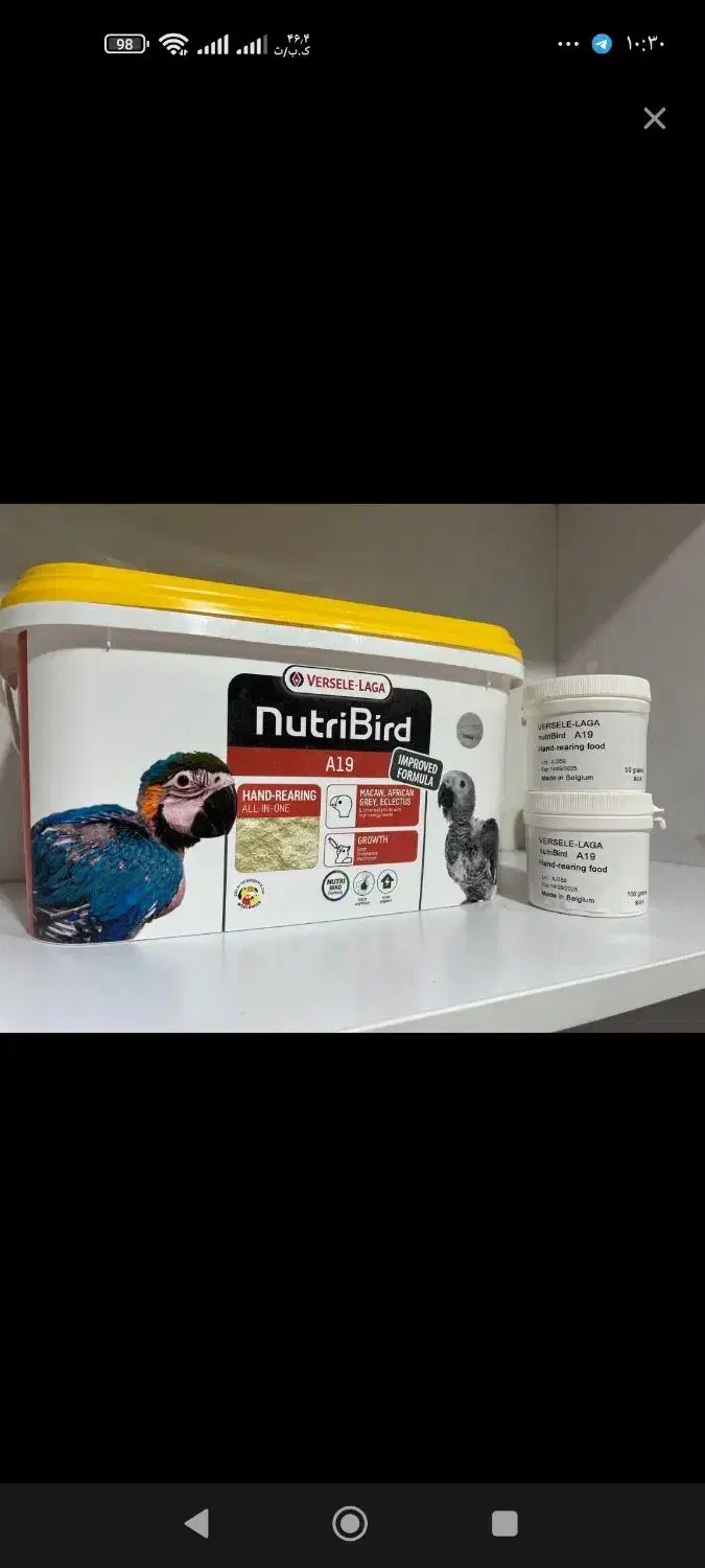 سرلاک انواع پرندگان|لوازم جانبی حیوانات|قدس, شهرقدس|دیوار