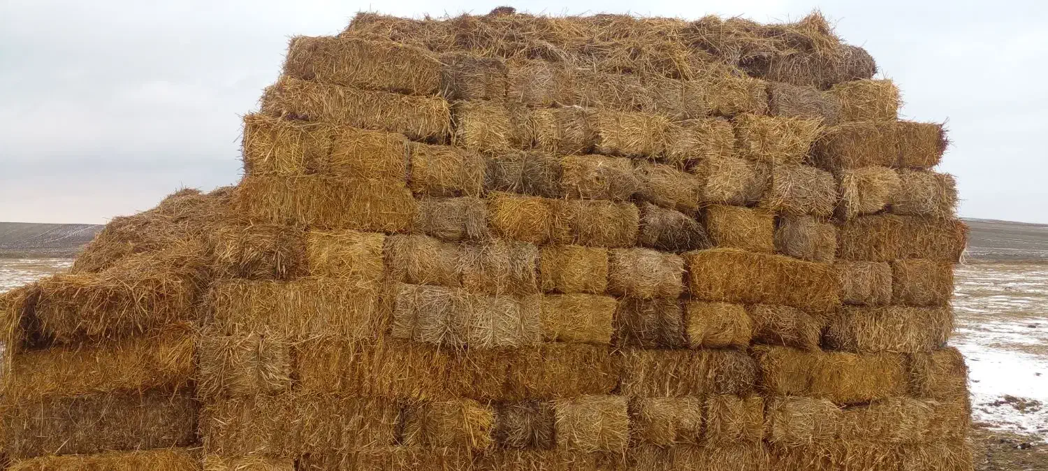 کاه|عمده‌فروشی|ویلکیج, |دیوار