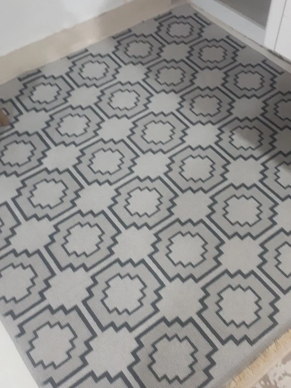 گلیم خشک|گلیم، جاجیم، گبه|کوهدشت, |دیوار