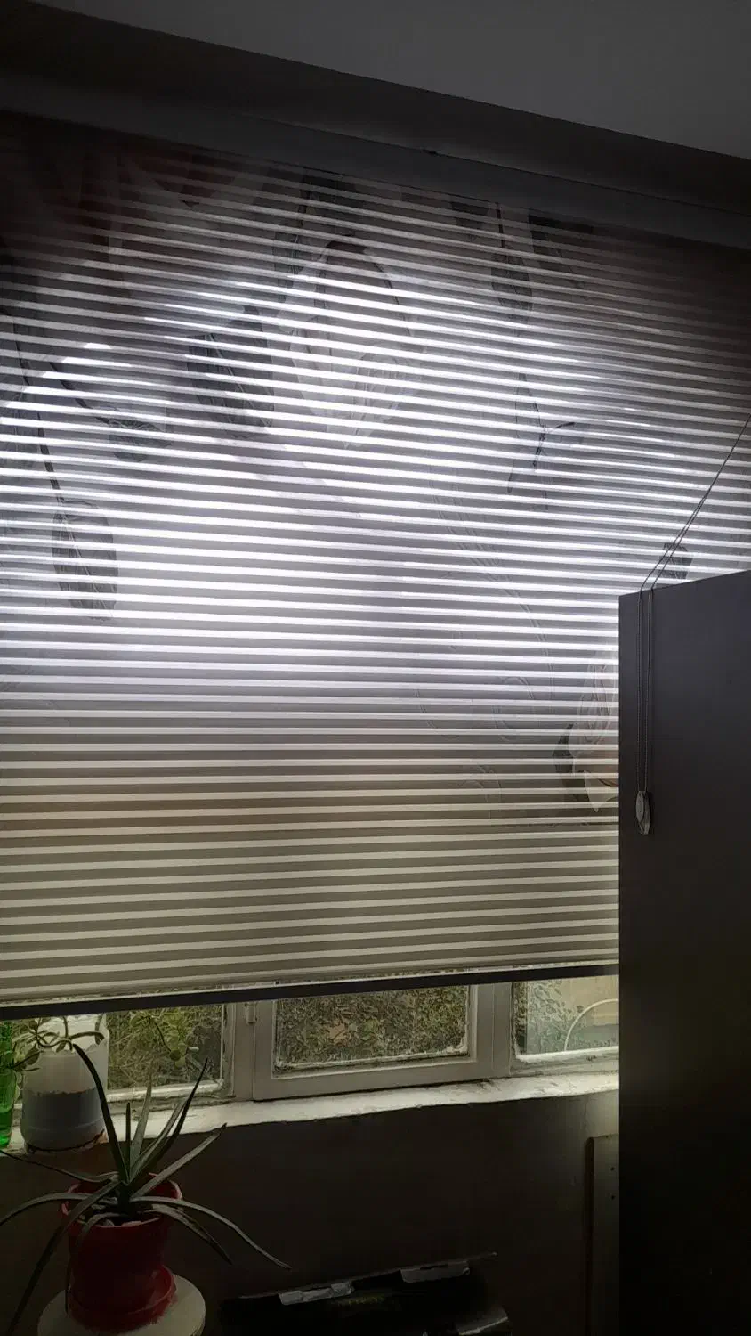 پرده زبرا کرکره ای|پرده، رانر، رومیزی|مشهد, موسوی قوچانی|دیوار