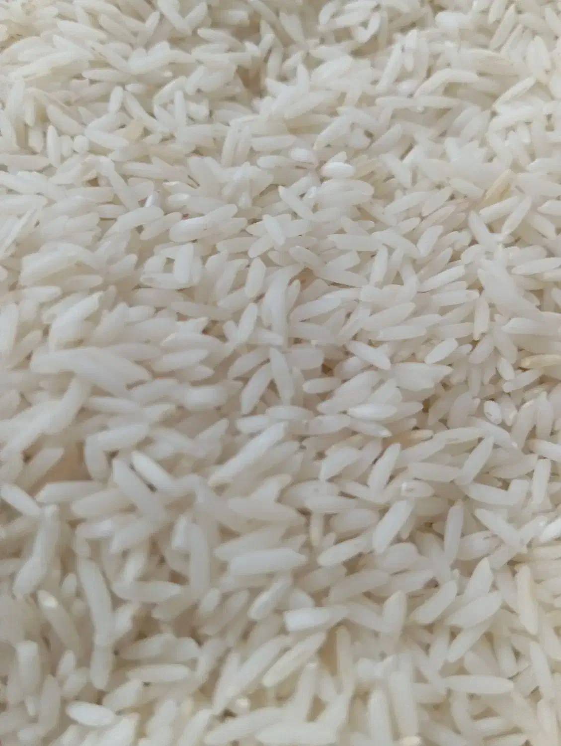 برنج هاشمی درجه یک  فقط بریز تو دیگ بپز|خوردنی و آشامیدنی|کوچصفهان, |دیوار