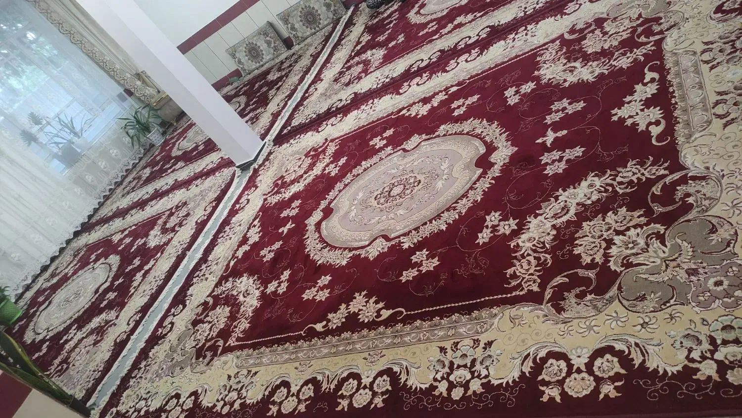فرش ۱۲متری ۵۰۰شانه|فرش|تربت‌حیدریه, باغ ملی|دیوار
