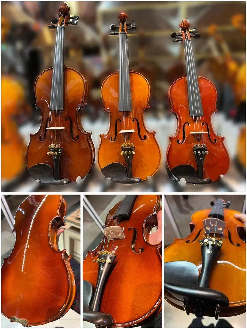 آموزش تخصصی ویولن ویالون|خدمات آموزشی|مشهد, شهرک رازی (شهرک غرب)|دیوار