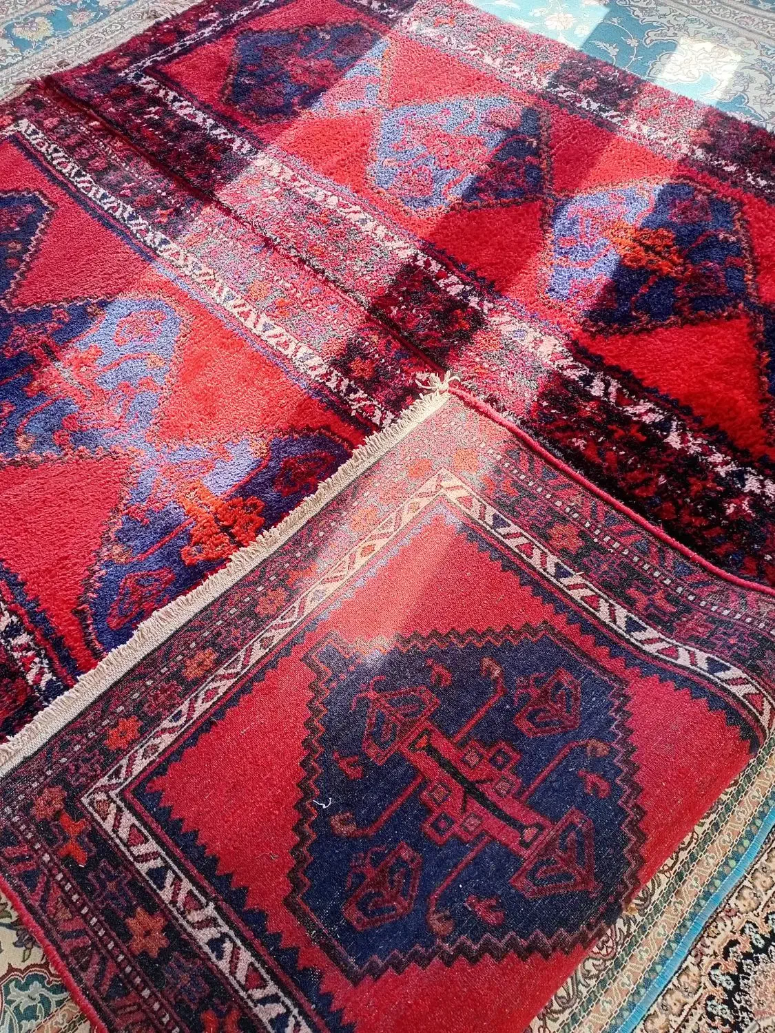 فرش پشم|فرش|قزوین, |دیوار