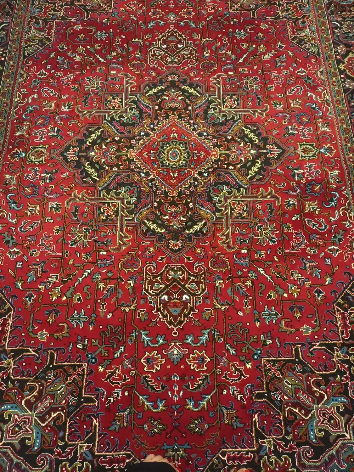 فروش فرش تمیز|فرش|انزل, |دیوار