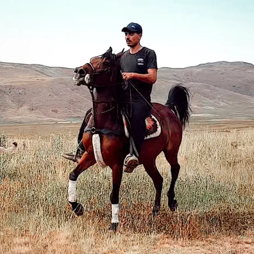 مادیان سواری دار|اسب و تجهیزات اسب‌سواری|اردبیل, |دیوار