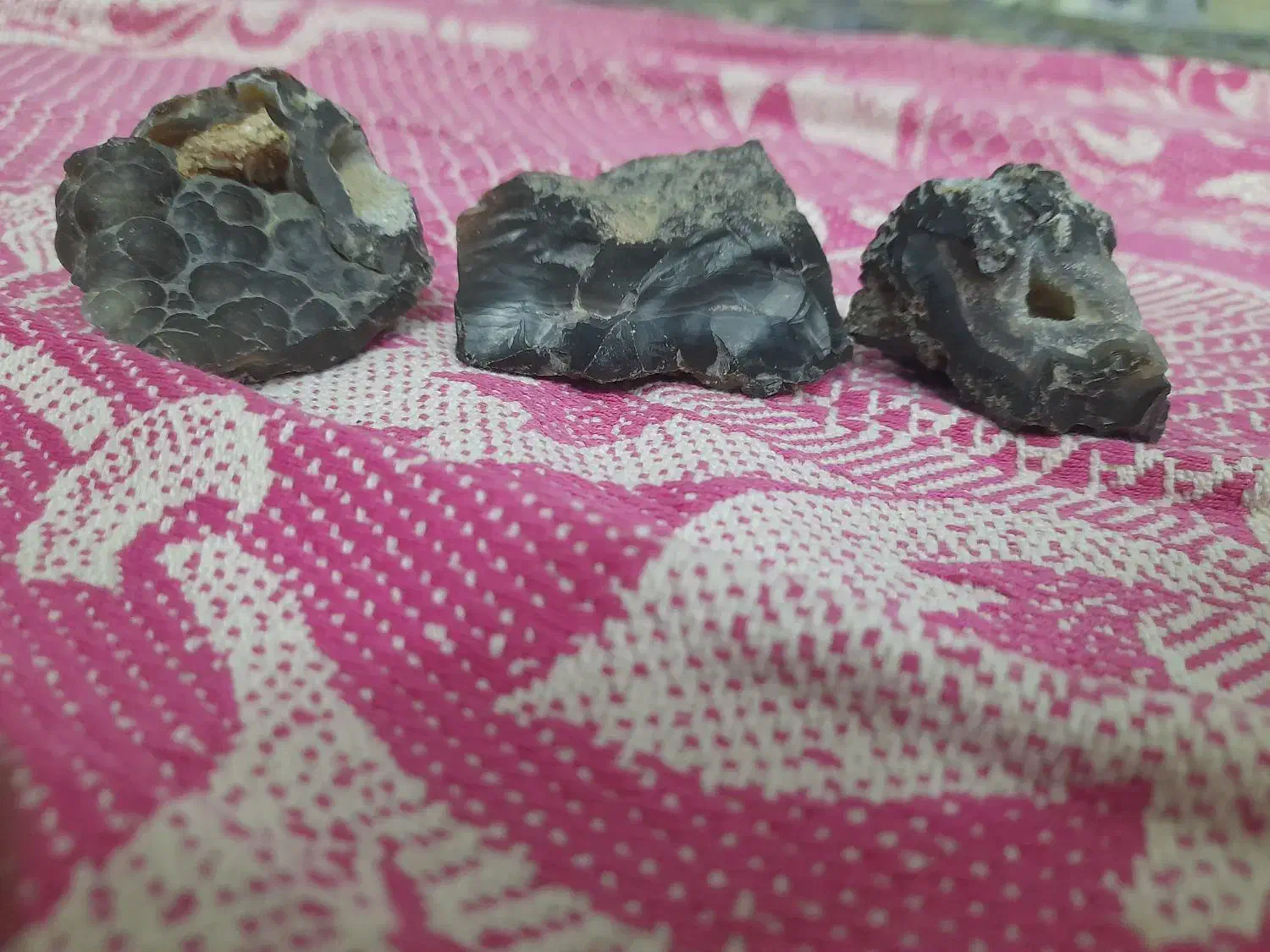 سرگرمی و اوقات فراغت|کلکسیون و سرگرمی|سبزوار, شرق کال جنوبی (شمس آبادی)|دیوار