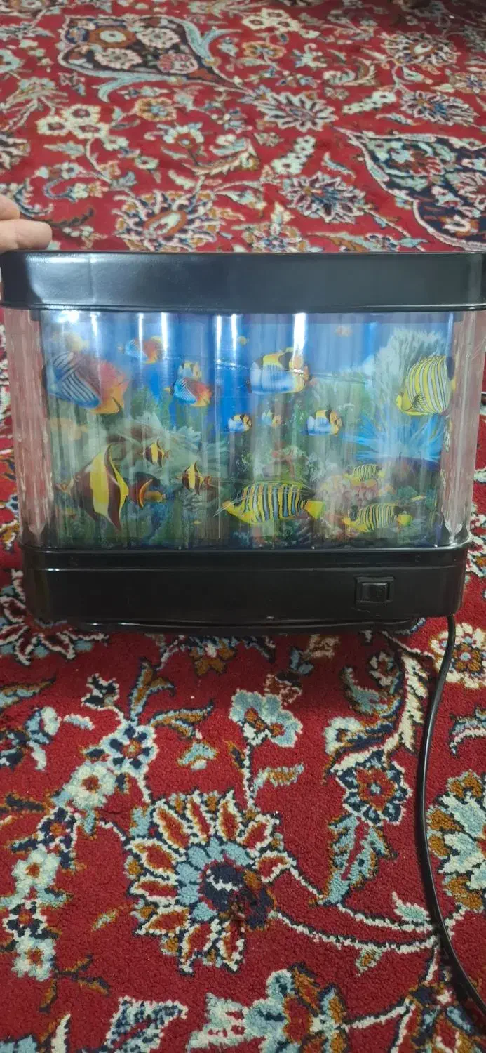 شبخواب اکواریومی|چراغ خواب و آباژور|قم, شاه ابراهیم|دیوار