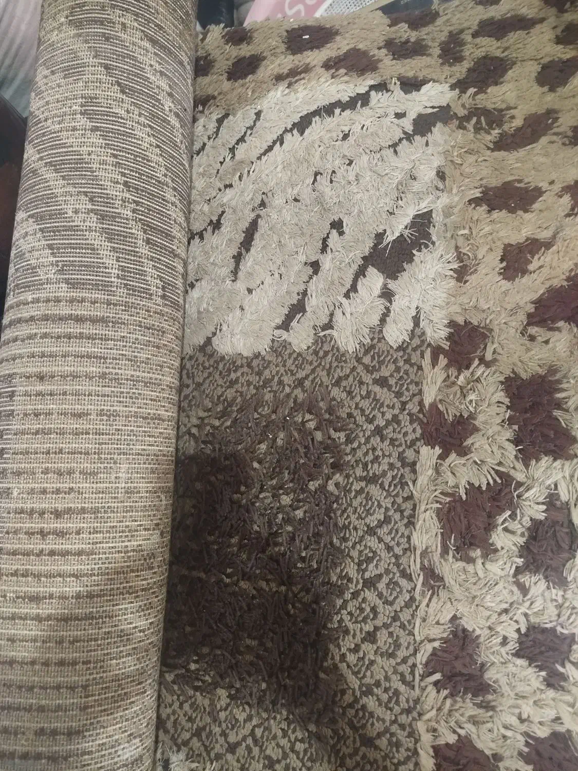 فرش شگی 4و 6متری|فرش|رودسر, |دیوار