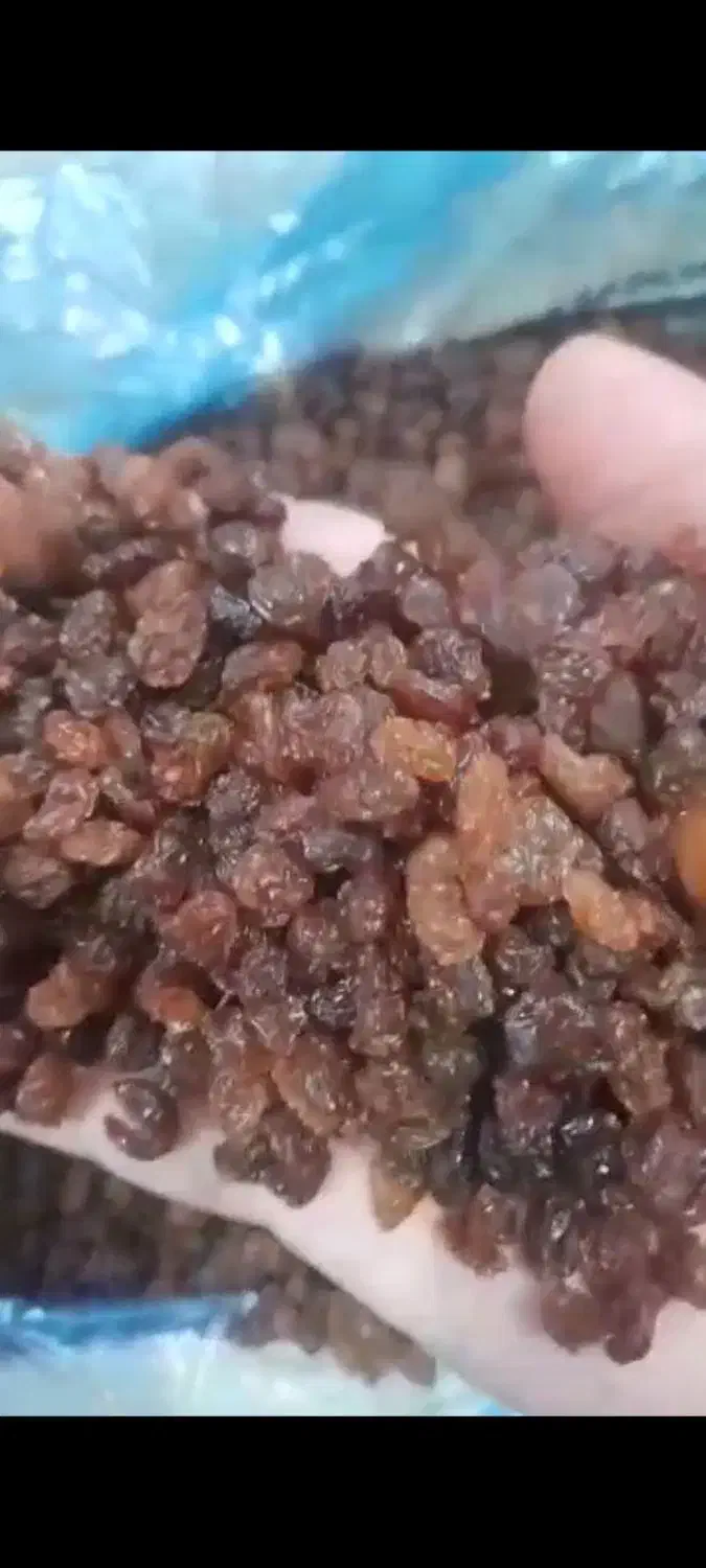 کشمش ویژه نان فانتزی وشیرینی پزا|خوردنی و آشامیدنی|اهواز, کیان اباد|دیوار