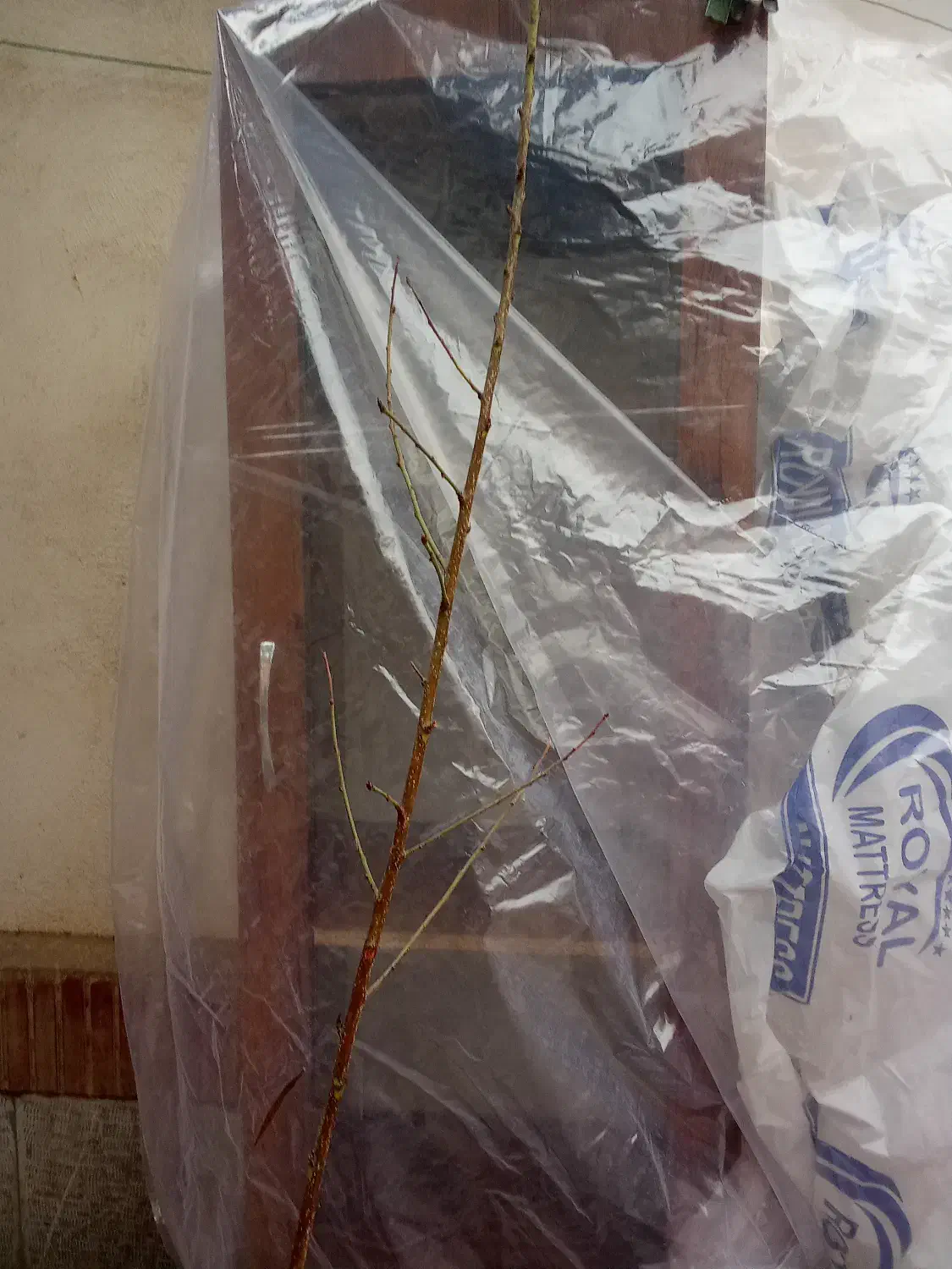 بوفه سالم|بوفه، ویترین، کنسول|محمدیه-قزوین, |دیوار