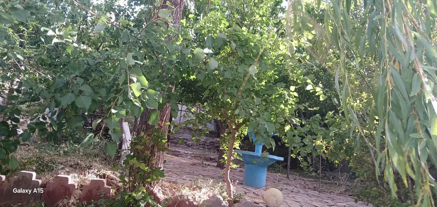 باغ ویلاروستای گردشگری بکاول (معاوضه باماشین دارم)|فروش خانه و ویلا|تربتحیدریه, بالا ولایت|دیوار