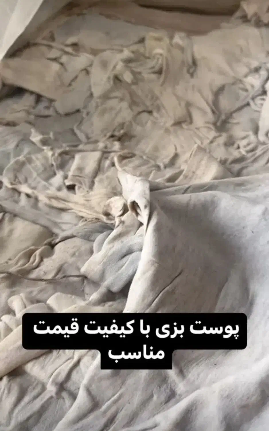 پوست مناسب برای دهلک ، دمام ، گورم|سازهای سنتی|سراوان, |دیوار